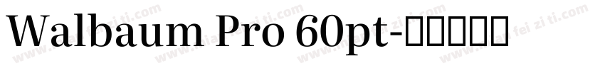 Walbaum Pro 60pt字体转换